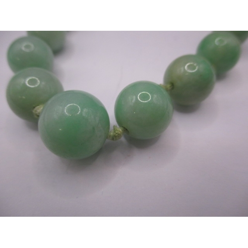 126 - An antique graduated jade? bead necklace with 9ct gold clasp, approx. linear length 46cm in good pre... 