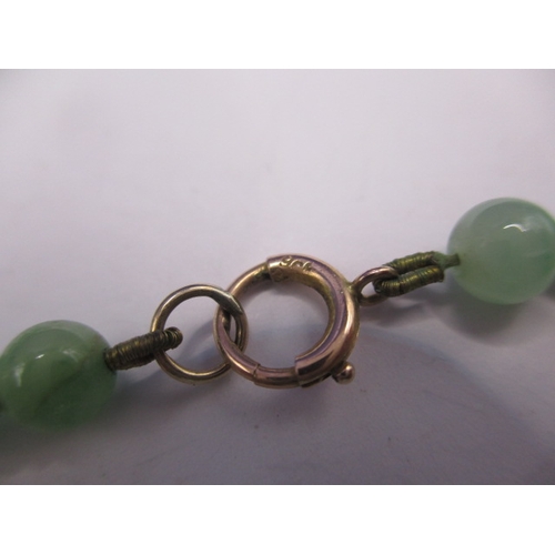 126 - An antique graduated jade? bead necklace with 9ct gold clasp, approx. linear length 46cm in good pre... 