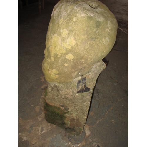 327 - A medieval carved stone head, approx. height 60cm, family legend relates to this being removed in th... 