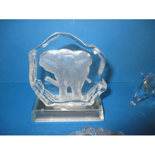 103 - A parcel of glass elephant sculptures, various sizes, one with a tiny chip to tail tip all others  w... 