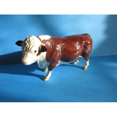 198 - A vintage Beswick Polled Hereford Bull, with brown and white gloss glaze, in good condition with mic... 