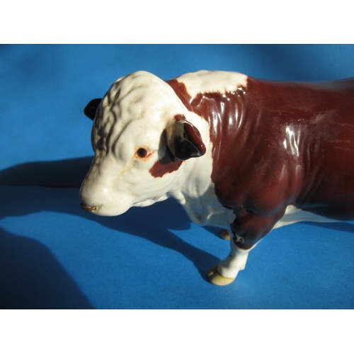 198 - A vintage Beswick Polled Hereford Bull, with brown and white gloss glaze, in good condition with mic... 