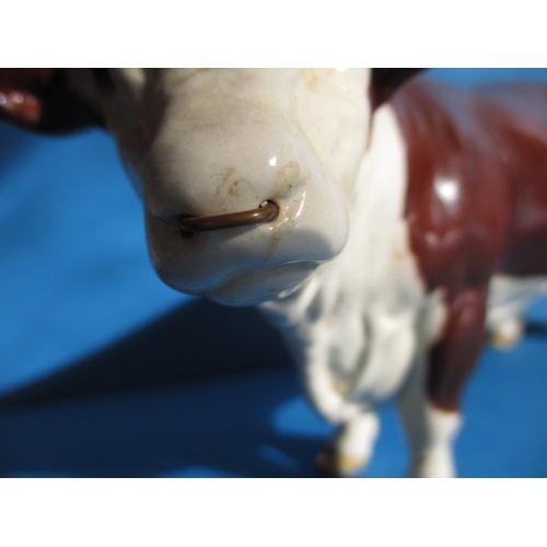 198 - A vintage Beswick Polled Hereford Bull, with brown and white gloss glaze, in good condition with mic... 