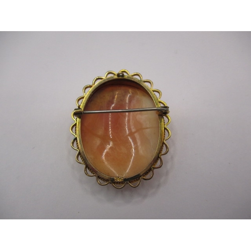 58 - A 9ct gold conch shell cameo brooch, in good used condition with working pin, approx. length 4cm