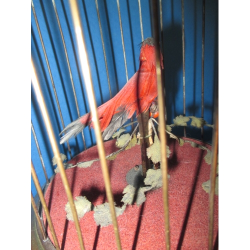 211 - A vintage caged singing bird automaton, in working order with general age-related marks, approx. hei... 