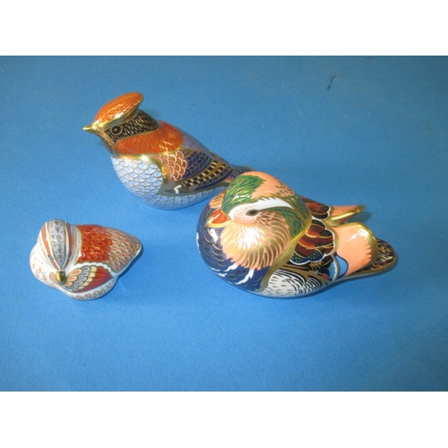 204 - Three Royal Crown Derby ceramic bird paperweights, all in good used condition with no observed damag... 