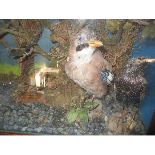 306 - A vintage taxidermy diorama of various birds, in glazed case with naturalistic display, approx. case... 