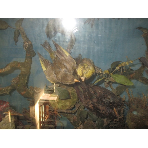 306 - A vintage taxidermy diorama of various birds, in glazed case with naturalistic display, approx. case... 