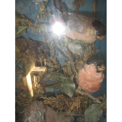 306 - A vintage taxidermy diorama of various birds, in glazed case with naturalistic display, approx. case... 