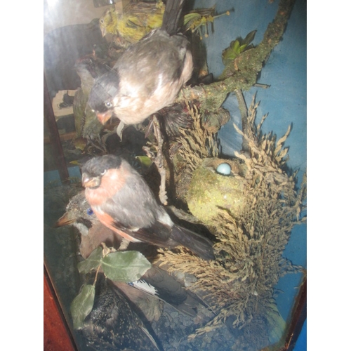 306 - A vintage taxidermy diorama of various birds, in glazed case with naturalistic display, approx. case... 