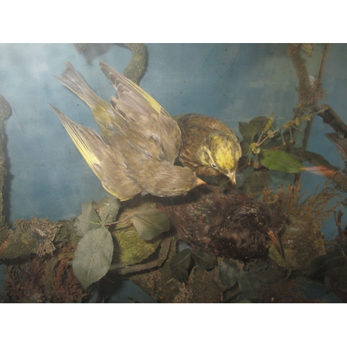 306 - A vintage taxidermy diorama of various birds, in glazed case with naturalistic display, approx. case... 