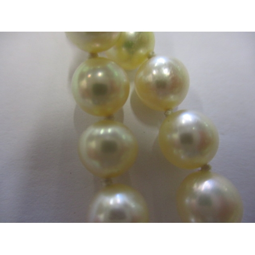 140 - A vintage 2 strand pearl necklace with 9ct diamond set clasp, approx. linear length 46cm, approx. be... 