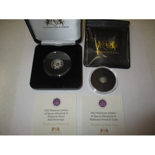 113 - A Harrington & Bryn 2022 platinum jubilee proof platinum half sovereign and a platinum £5 coin, in o... 