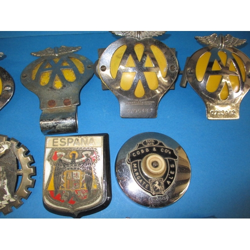 252 - A parcel of vintage automobile grille badges to include AA & RAC association badges, all in used con... 