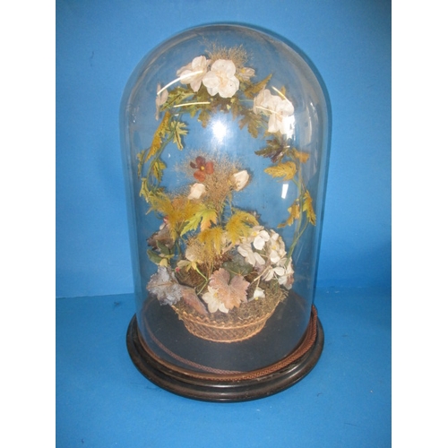 309 - A large Victorian glass display dome on original wood base, having basket floral display, approx. si... 