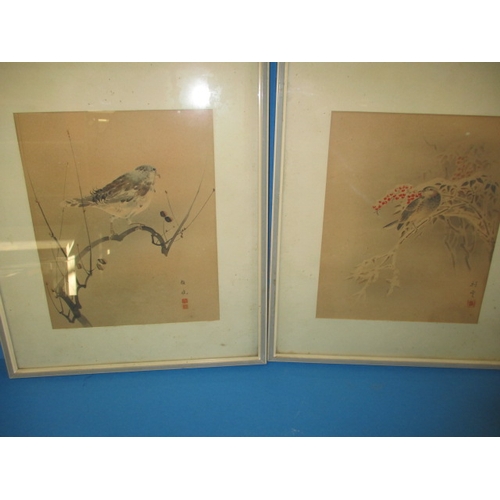 270 - Two antique Japanese pictures, Artist Sho-un, Kano school puipl of Yasunobu, in later glazed frames ... 