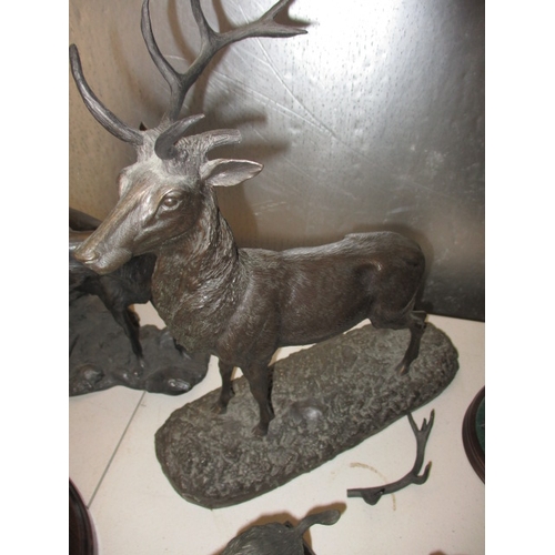 171 - A quantity of animal sculptures to include dogs and hogs. In pre-owned condition, the stag with one ... 