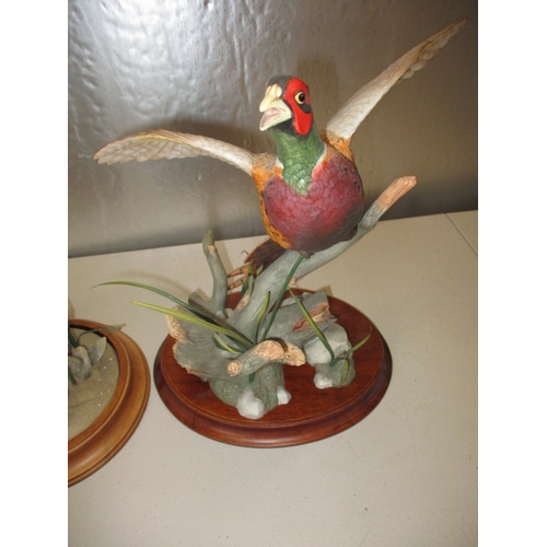 173 - A 1991 Franklin mint hand painted porcelain Pheasant, with no observed damage and another example of... 