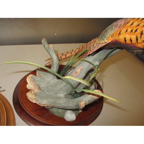 173 - A 1991 Franklin mint hand painted porcelain Pheasant, with no observed damage and another example of... 