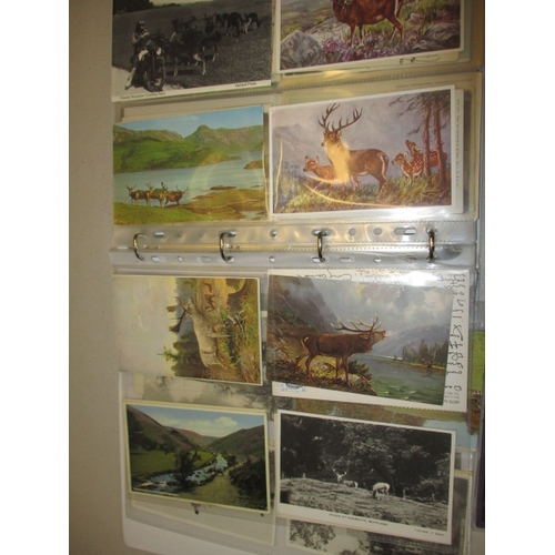 180 - A parcel of vintage postcards, most hunting related, all in used condition