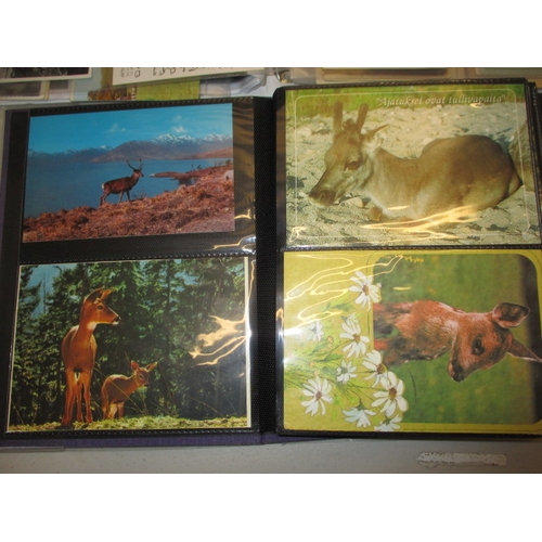 180 - A parcel of vintage postcards, most hunting related, all in used condition