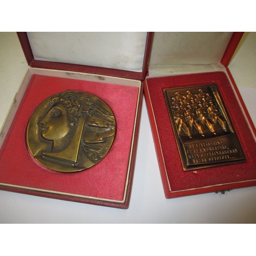 182 - Two vintage Hungarian commemorative plaques, on bronze the other copper, both in original presentati... 