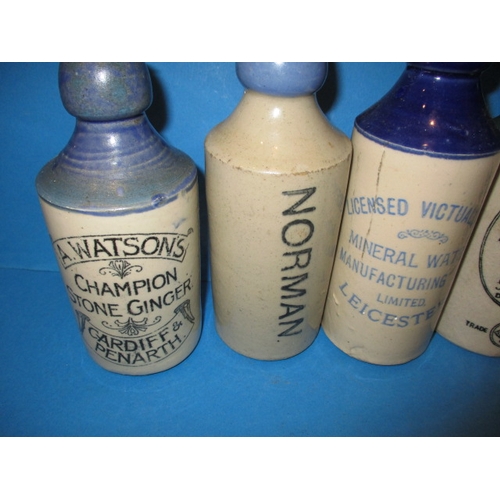 123 - 34 Vintage stoneware ginger beer bottles to include blue and green top examples, all in used conditi... 