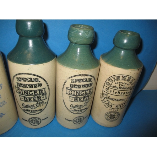 123 - 34 Vintage stoneware ginger beer bottles to include blue and green top examples, all in used conditi... 