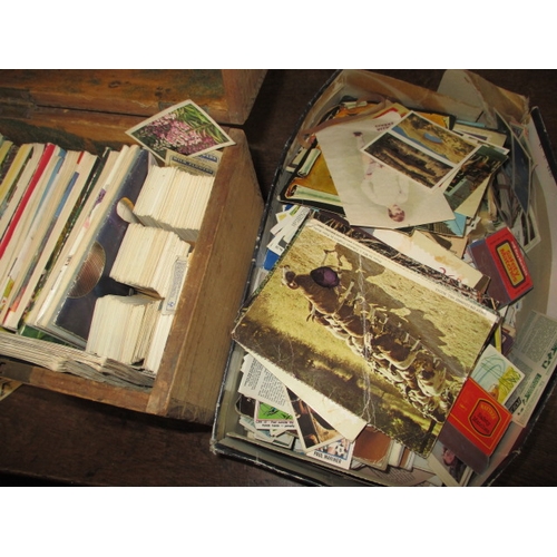 112 - An early 20th century postcard collection and a very large quantity of other collectable cards, all ... 