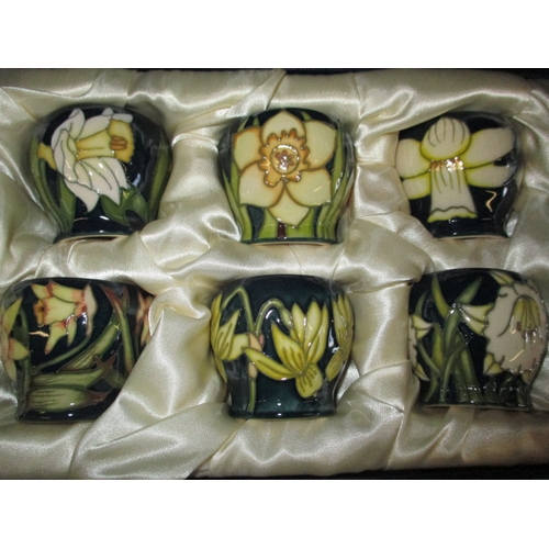 116 - A boxed set of 6 Moorcroft egg cups in the daffodil design, dated 2002, all in unused condition