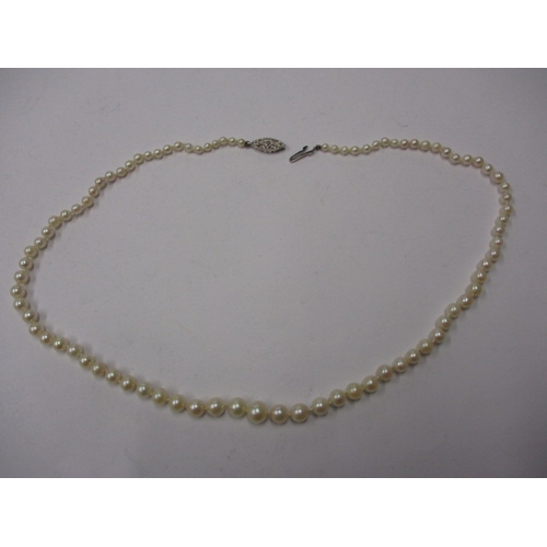 225 - A string of graduated pearls with 9ct white gold clasp, approx. linear length 46cm in good pre-owned... 