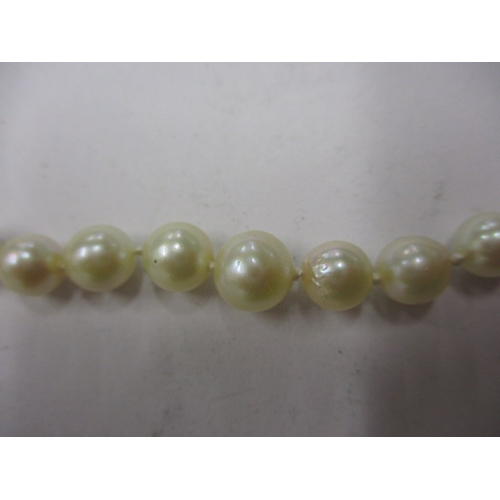 225 - A string of graduated pearls with 9ct white gold clasp, approx. linear length 46cm in good pre-owned... 