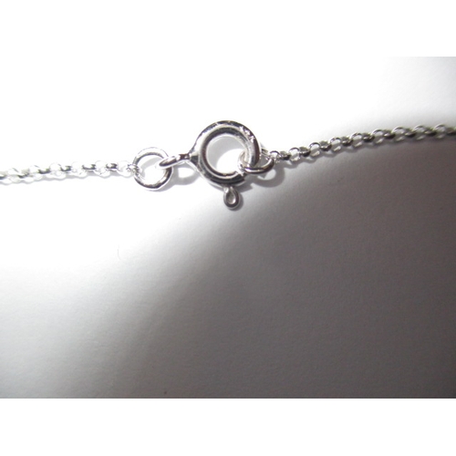 50 - A 9ct white gold necklace chain with diamond set horseshoe pendant, new old stock in retailers box