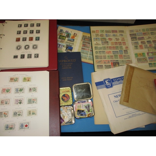 41 - A very large collection of world stamps, to include several albums covering Victorian and later, all... 