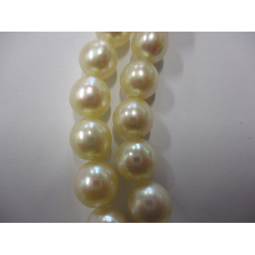 128 - A vintage cultured pearl necklace with 585 gold and jade clasp, approx. linear length 54cm, approx. ... 