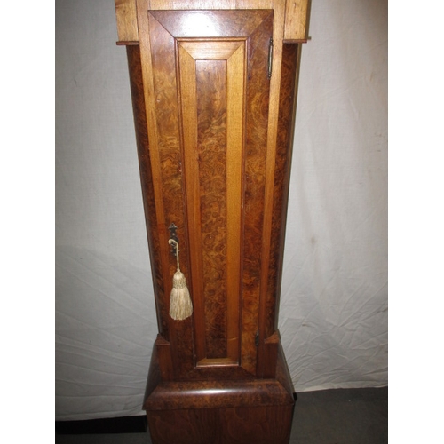 338 - An antique burr walnut longcase clock, with brass dial and striking on a bell, approx. height 194cm ... 