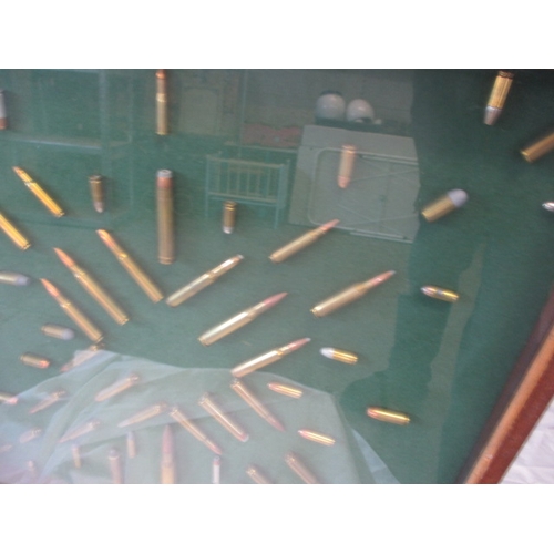 370 - A glazed wall mounted display of rifle bullets, various types, all spend condition, approx. case siz... 