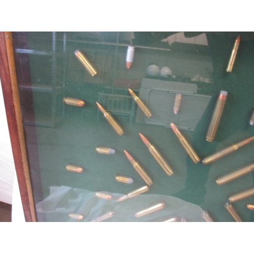 370 - A glazed wall mounted display of rifle bullets, various types, all spend condition, approx. case siz... 