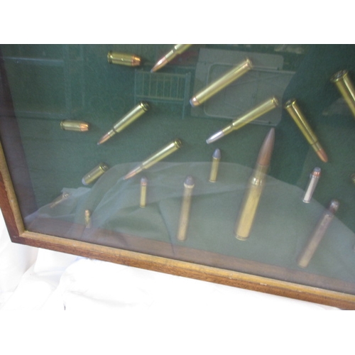 370 - A glazed wall mounted display of rifle bullets, various types, all spend condition, approx. case siz... 