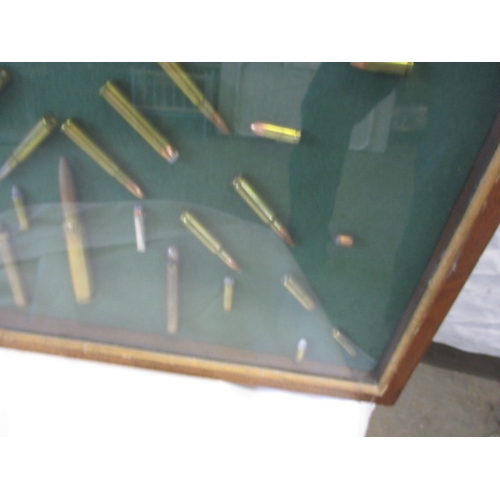 370 - A glazed wall mounted display of rifle bullets, various types, all spend condition, approx. case siz... 