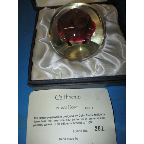 55 - A quantity of paperweights, to include a  boxed Caithness example, all in used condition with no obs... 