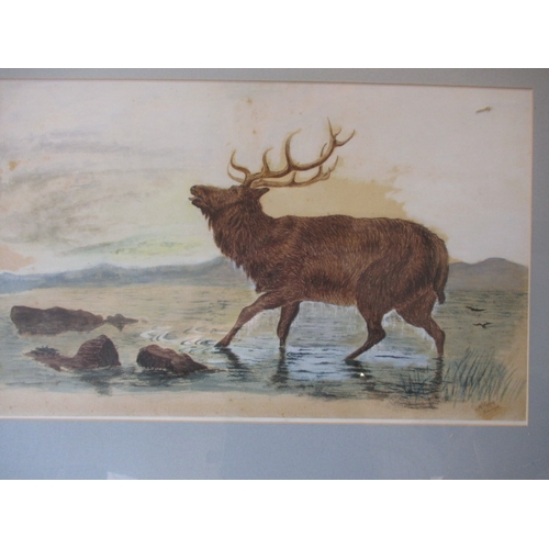 331 - An Edwardian watercolour of a highland scene, signed A Berry November 1910. Some foxing. Approximate... 