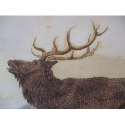 331 - An Edwardian watercolour of a highland scene, signed A Berry November 1910. Some foxing. Approximate... 