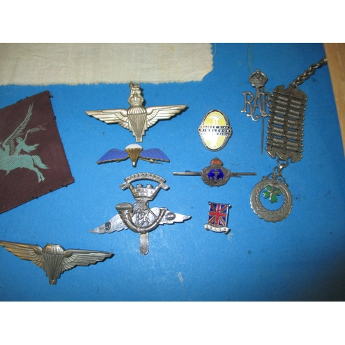 246 - 6th Airborne Regiment items, to include cloth and metal badges, all genuine period pieces from the r... 