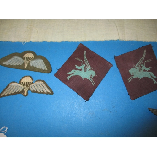 246 - 6th Airborne Regiment items, to include cloth and metal badges, all genuine period pieces from the r... 