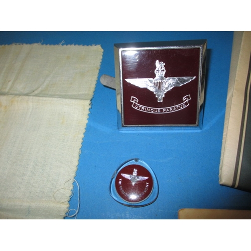 246 - 6th Airborne Regiment items, to include cloth and metal badges, all genuine period pieces from the r... 