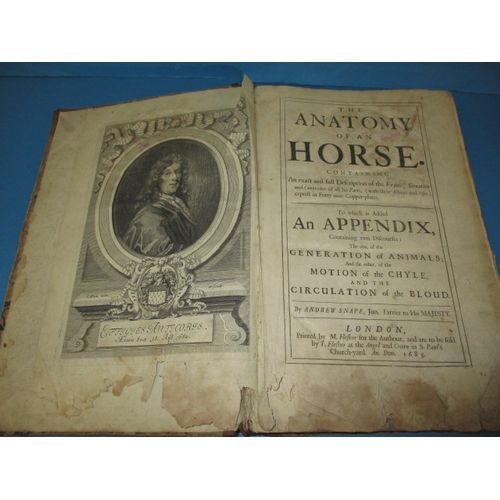 287 - The anatomy of a horse Andrew Snape 1683, a well used book with damages to some pages