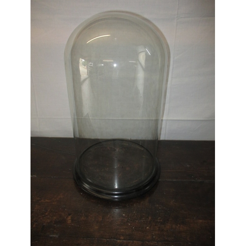 294 - An early 20th Century glass display dome on turn wood base. Approximate height 50cm, diameter 27cm. ... 