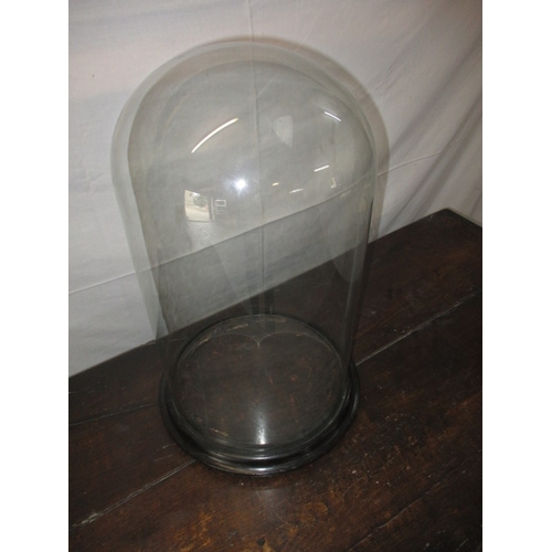 294 - An early 20th Century glass display dome on turn wood base. Approximate height 50cm, diameter 27cm. ... 