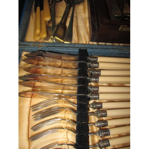 150 - A large quantity of vintage cutlery and flatware, some in boxes, all in used condition